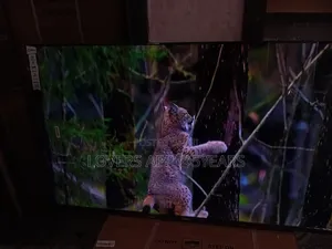 Sigma 55" Led Smart Tv, Mind Blowing.
