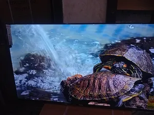 Sigma 55" Led Smart Tv, Mind Blowing.