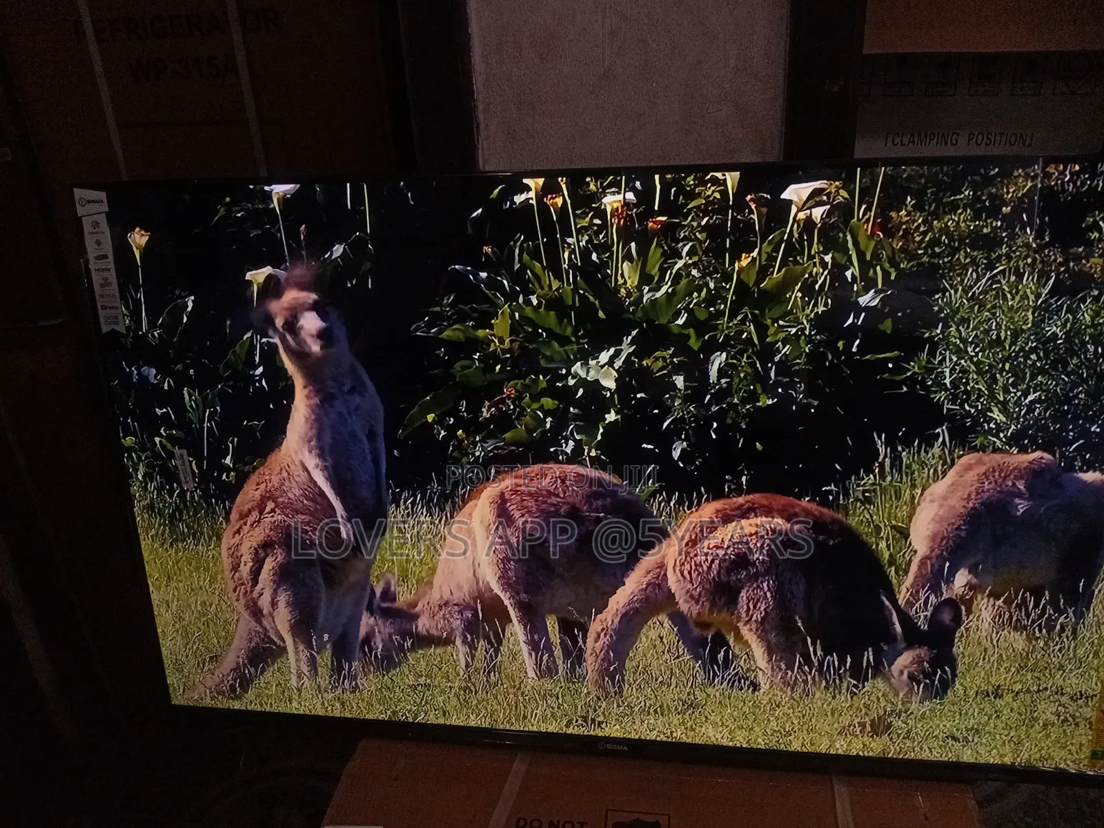 Sigma STV-Ku55v6-S 55" Unbelievable Led Tv