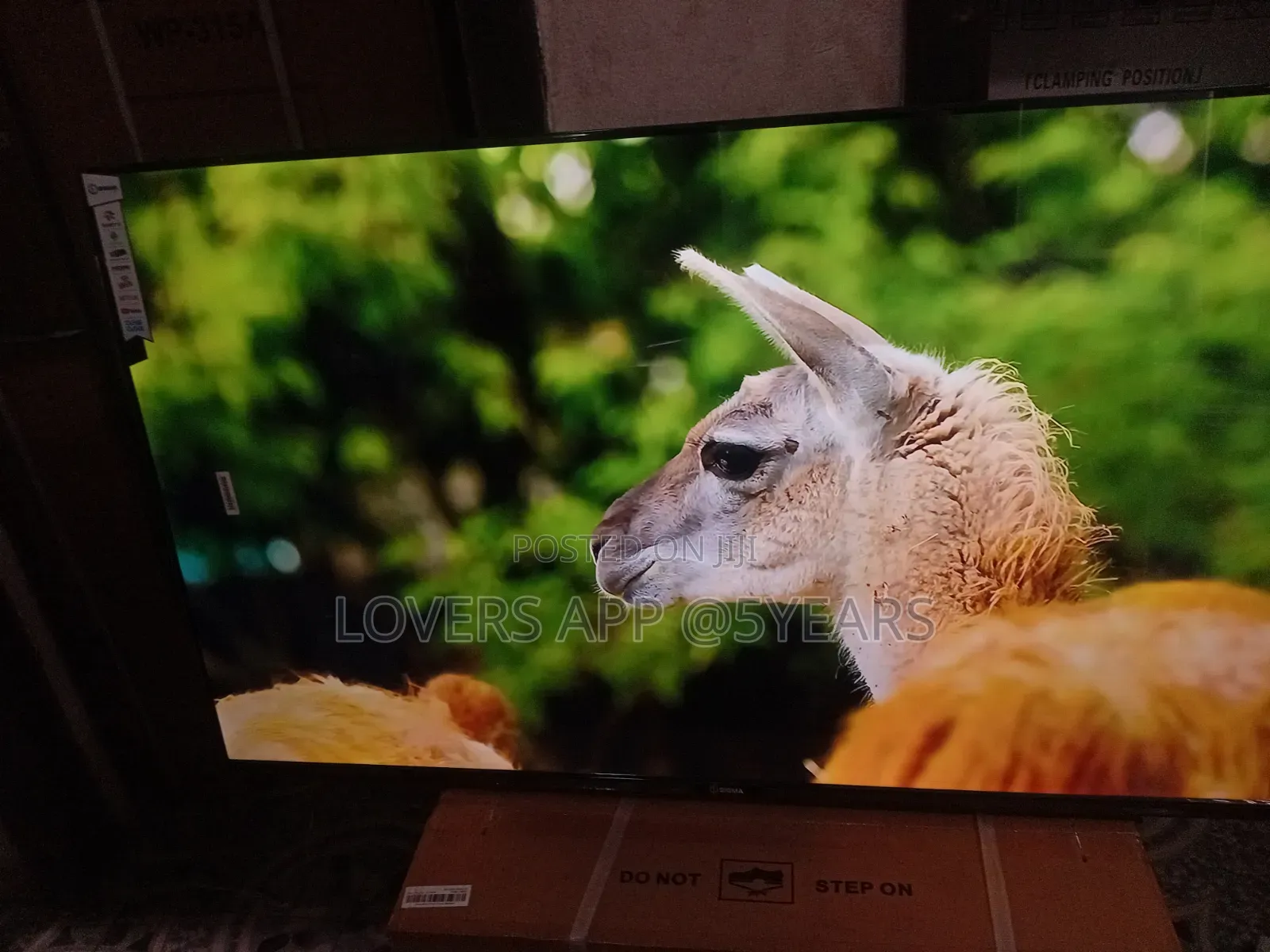 Sigma STV-Ku55v6-S 55" Unbelievable Led Tv