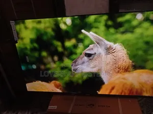 Sigma STV-Ku55v6-S 55" Unbelievable Led Tv