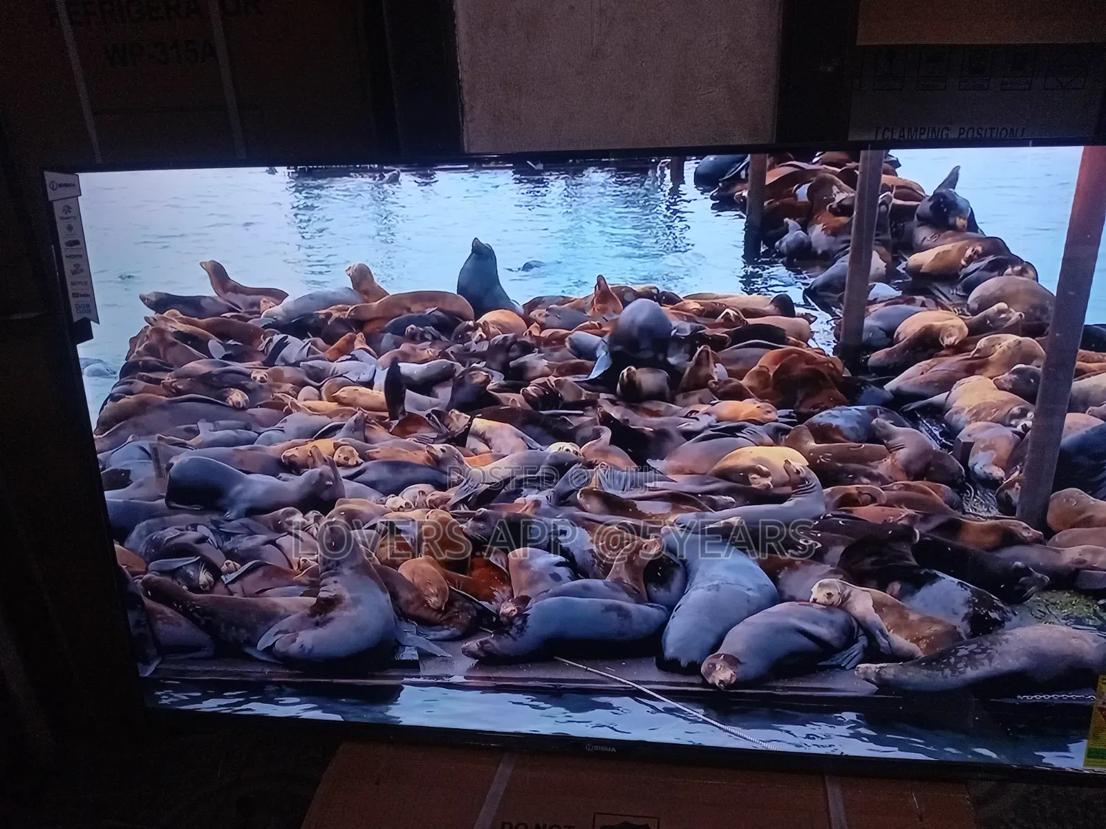 55" Sigma Jaw Dropping Led Smart Tv.