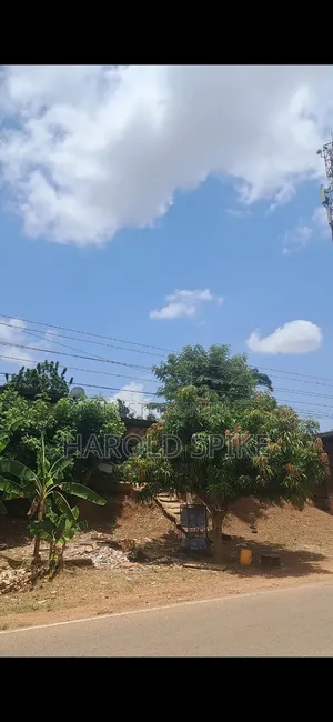 Danyame Land for Rent