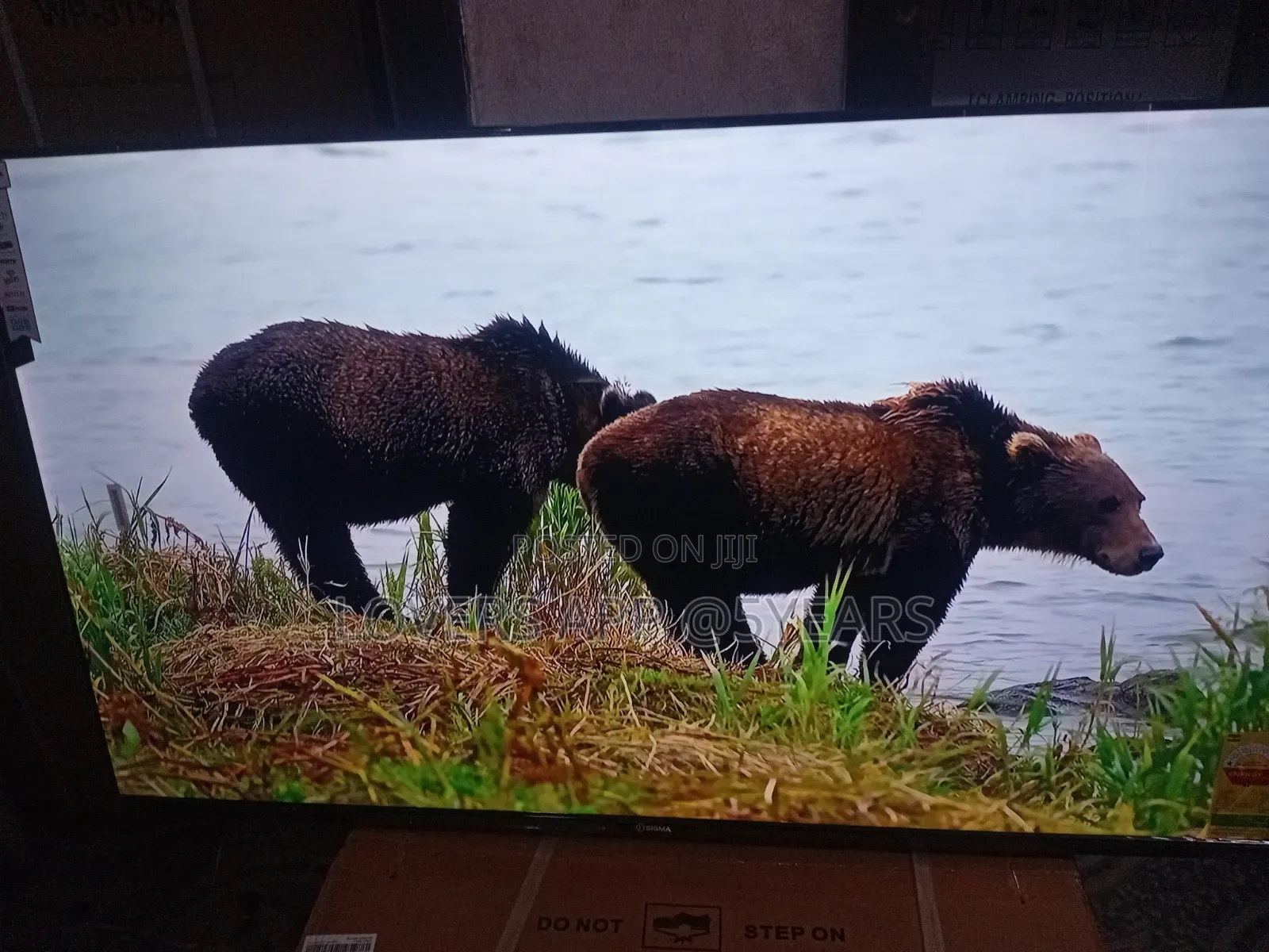 55" Sigma Unforgettable Led Frameless Tv