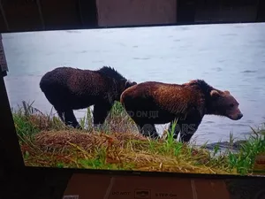 55" Sigma Unforgettable Led Frameless Tv