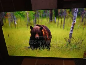 Sigma 55" Led Tv, Breathtaking Quality.