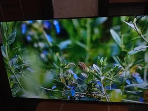 Sigma 55" Led Tv, Breathtaking Quality.