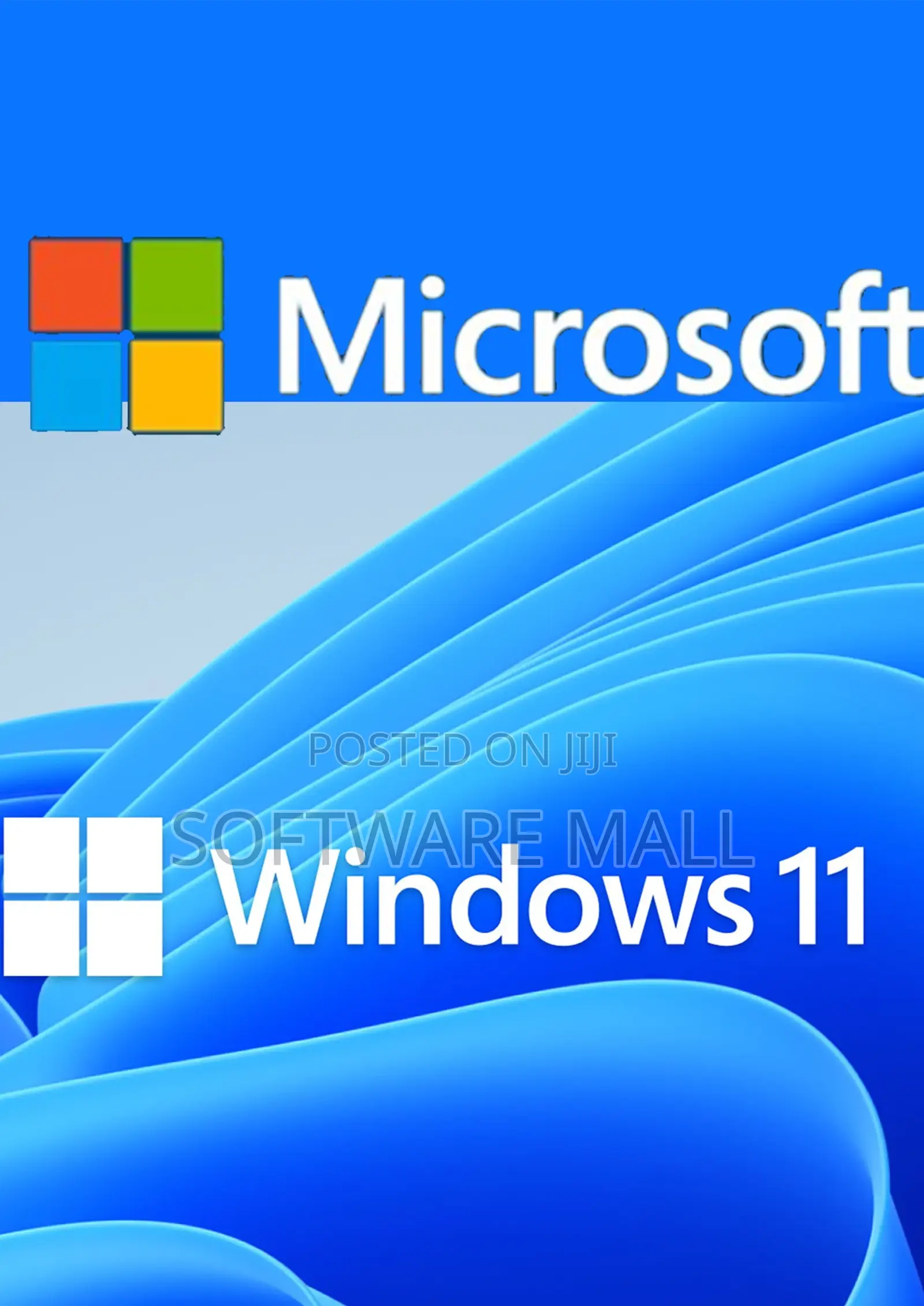 Windows 11 Pro 1 User Retail