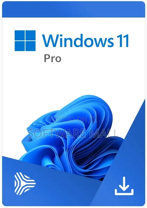Windows 11 Pro 1 User Oem