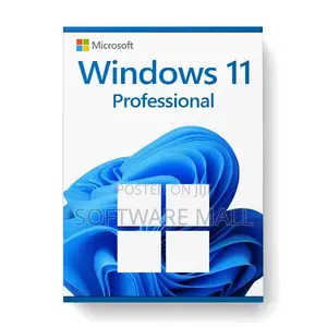 Windows 11 Pro 20 User