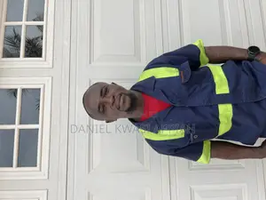 Agoo the Wood Doctor