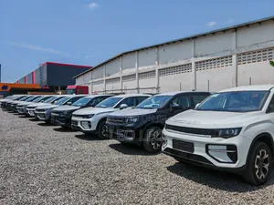 Car Sales + Live Streaming