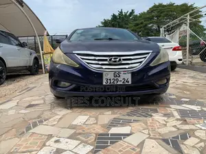 Hyundai Sonata 2011 Blue