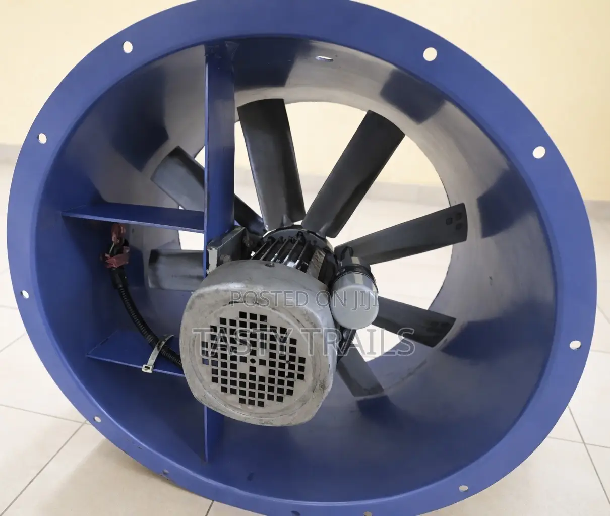 Industrial Axial Fan (600mm)