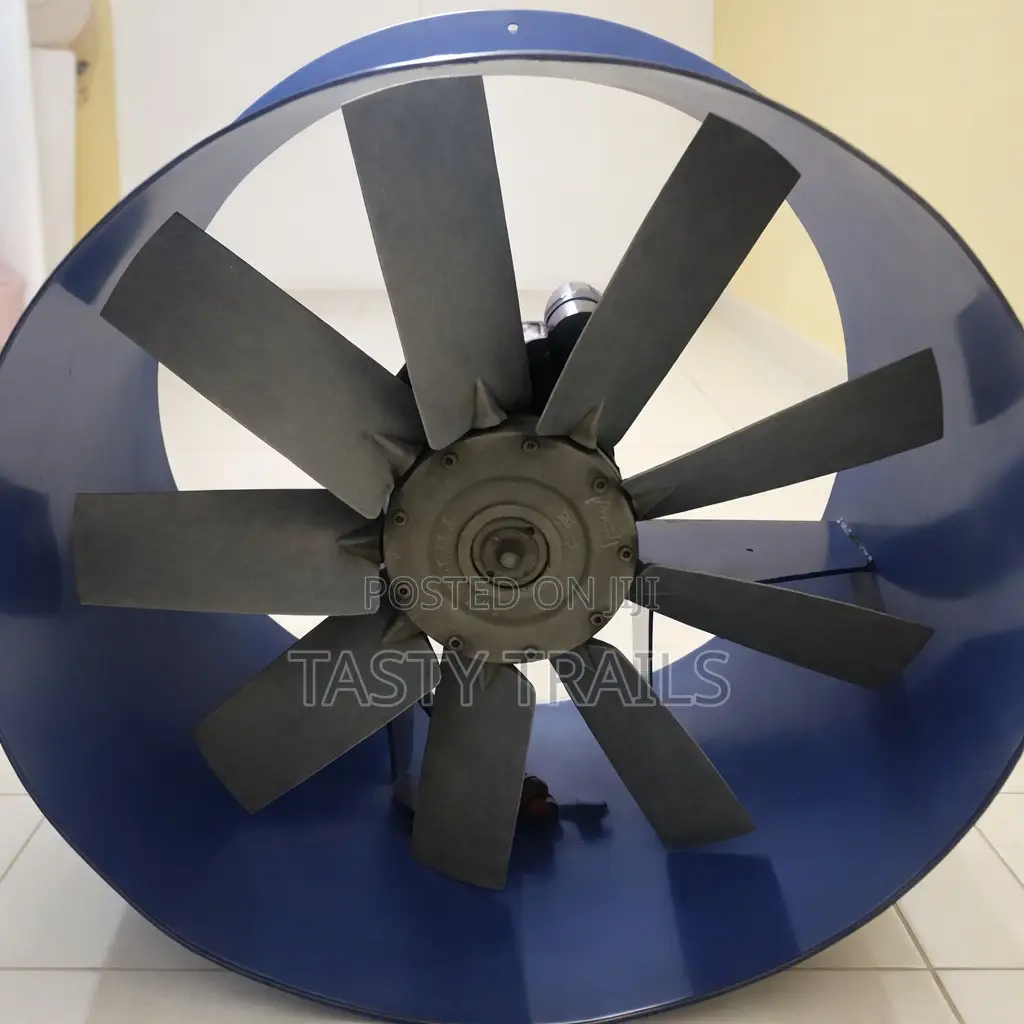 Industrial Axial Fan (600mm)
