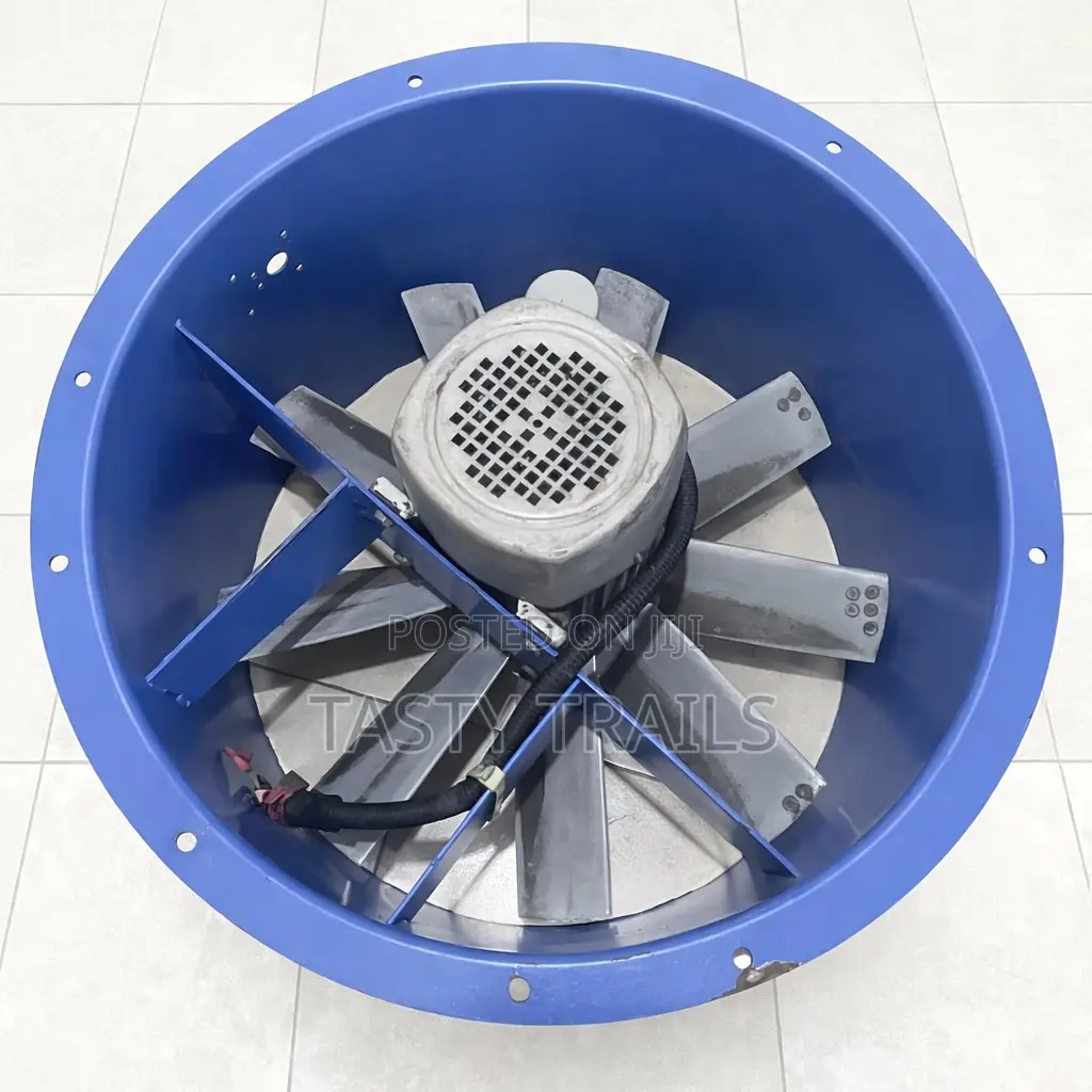 Industrial Axial Fan (600mm)