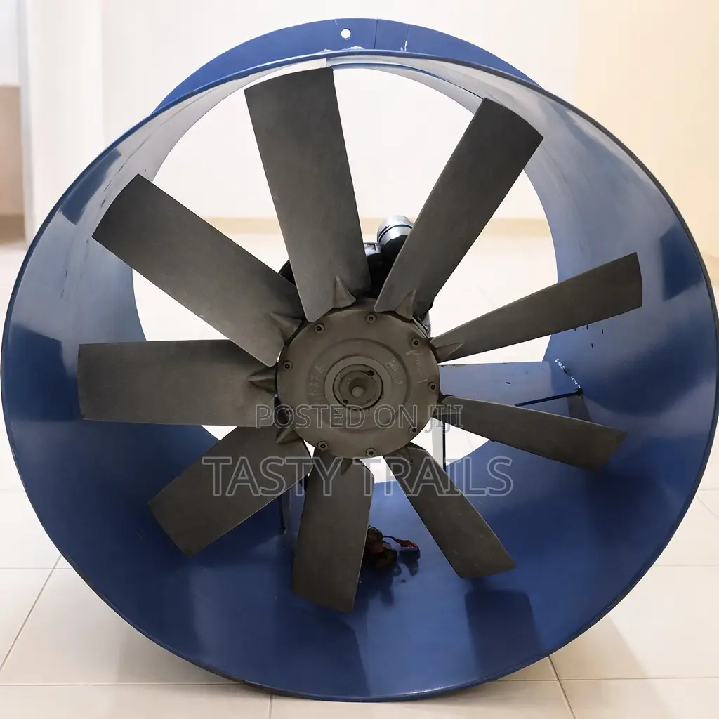 Industrial Axial Fan (600mm)