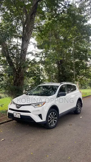 Toyota RAV4 LE AWD (2.5L 4cyl 6A) 2017 White