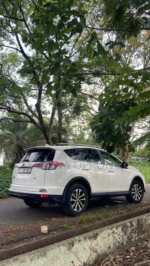 Toyota RAV4 LE AWD (2.5L 4cyl 6A) 2017 White