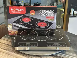 Electric Induction Double Stove