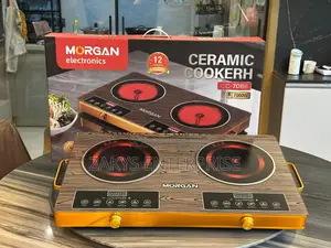 Electric Induction Double Stove