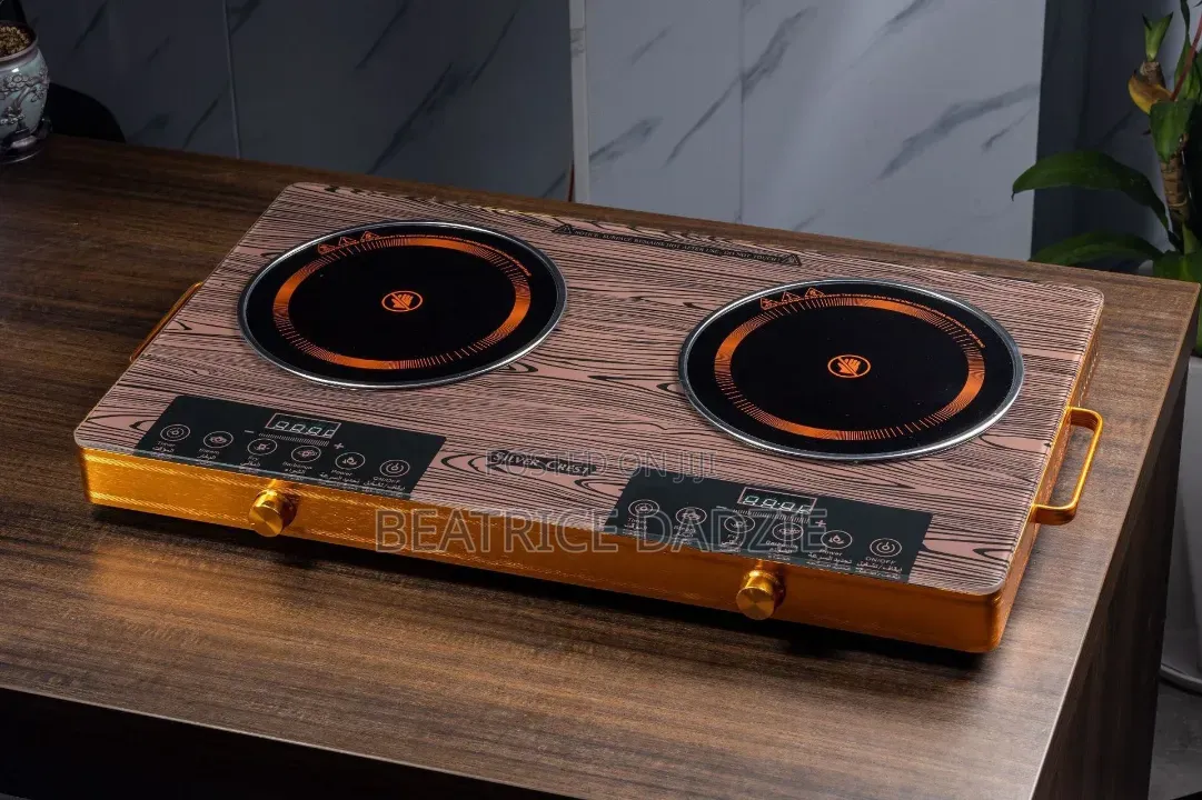 Double Burner Electric Stove