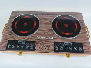 Double Burner Electric Stove