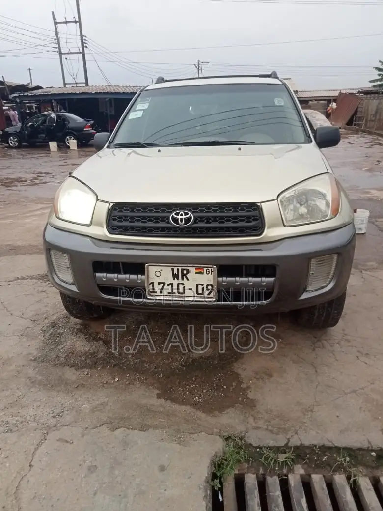 Toyota RAV4 2.0 4x4 2004 Gold