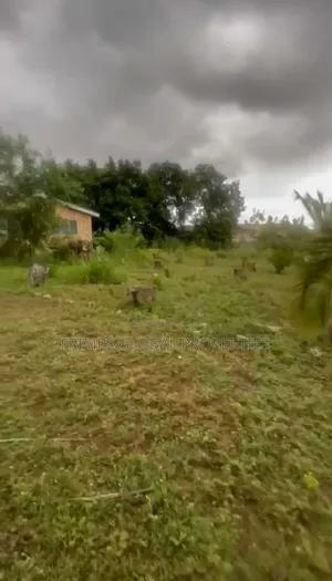 Roadside 1 Acre (4 Plots) at Tesano for Sale