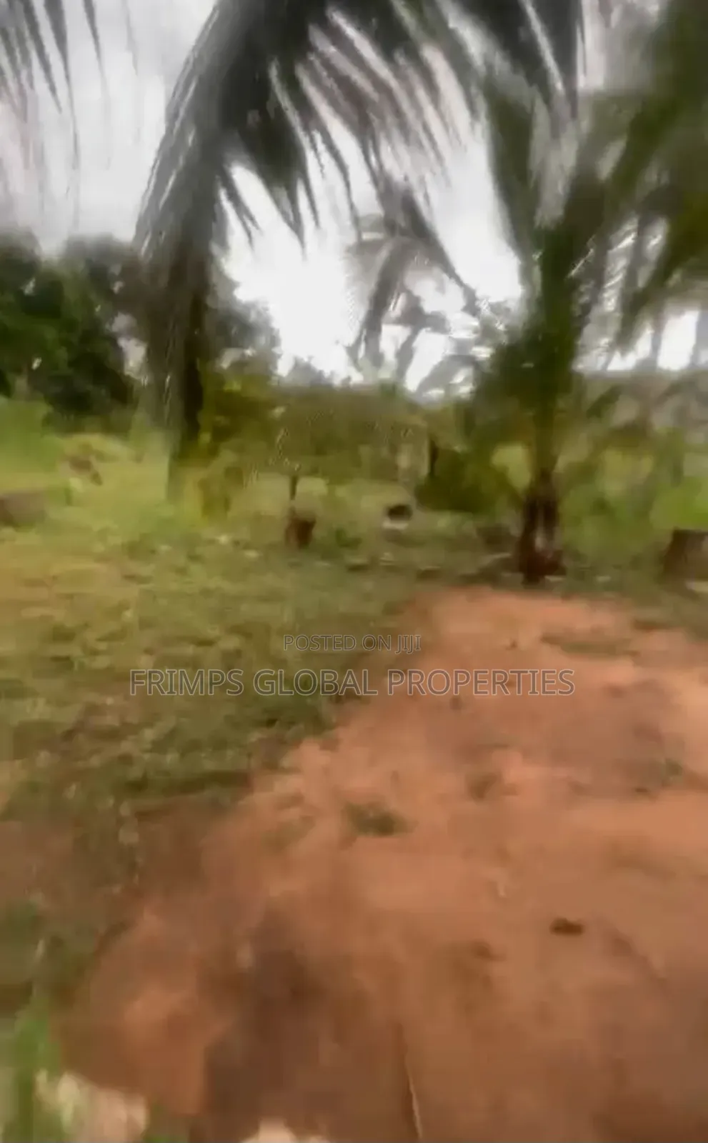 Roadside 1 Acre (4 Plots) at Tesano for Sale
