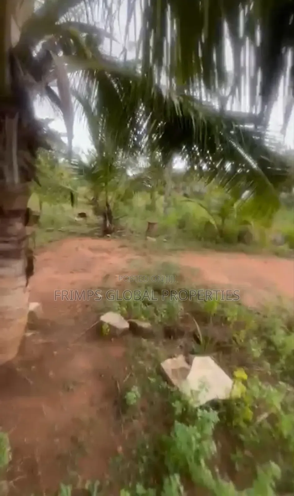 Roadside 1 Acre (4 Plots) at Tesano for Sale
