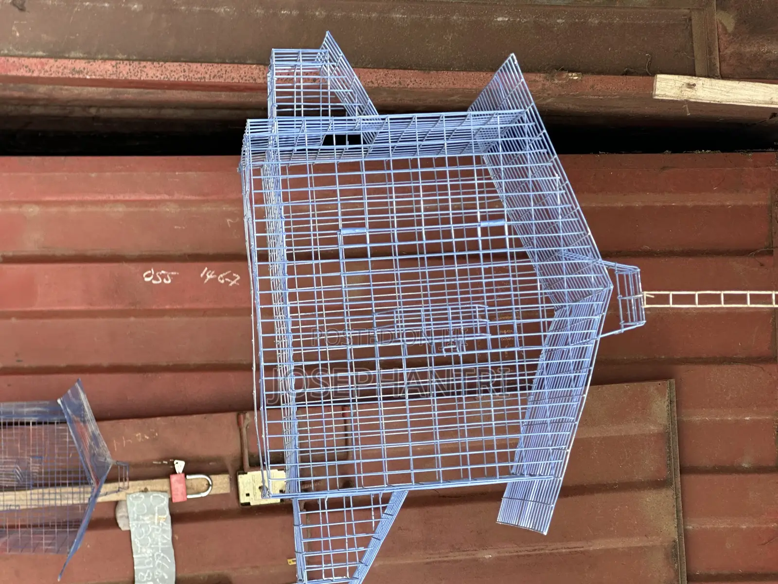 Birds Cages and Bush Traps