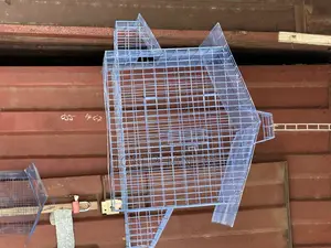 Birds Cages and Bush Traps