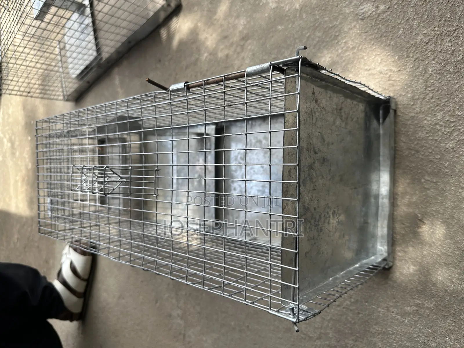 Birds Cages and Bush Traps