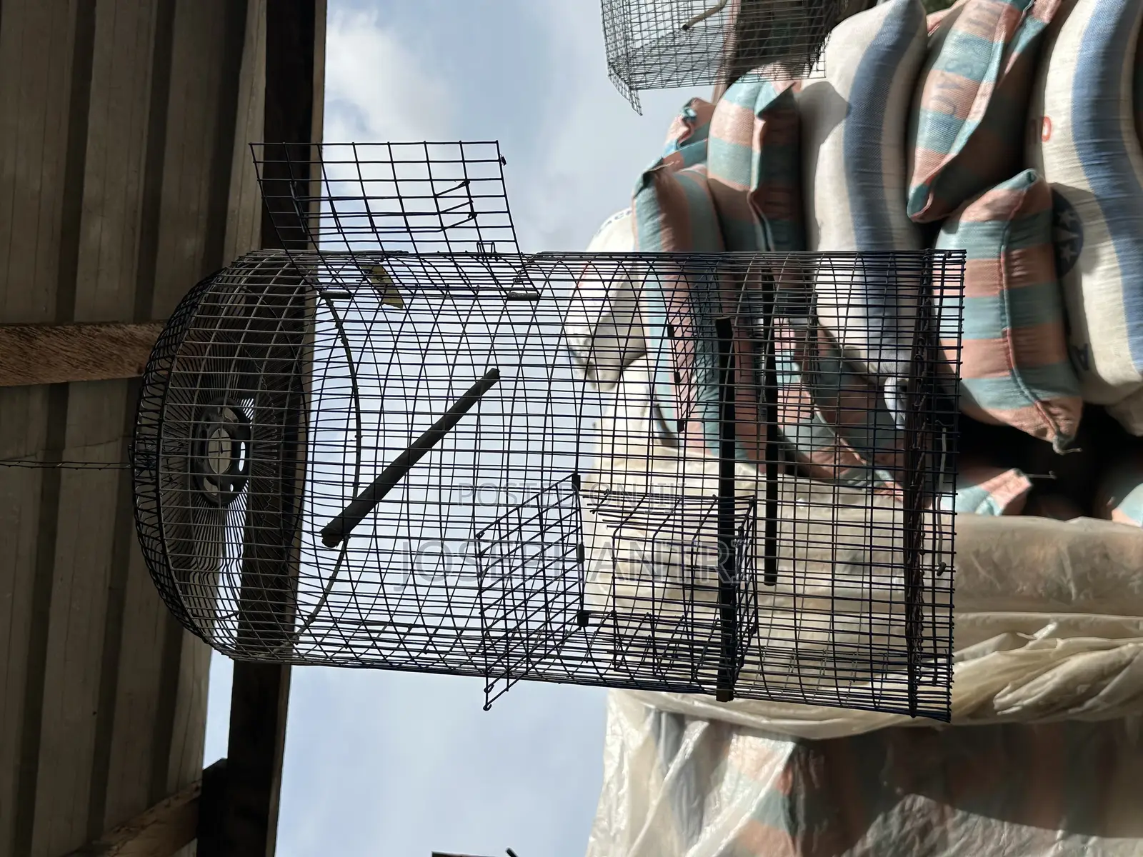 Birds Cages and Bush Traps
