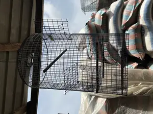 Birds Cages and Bush Traps