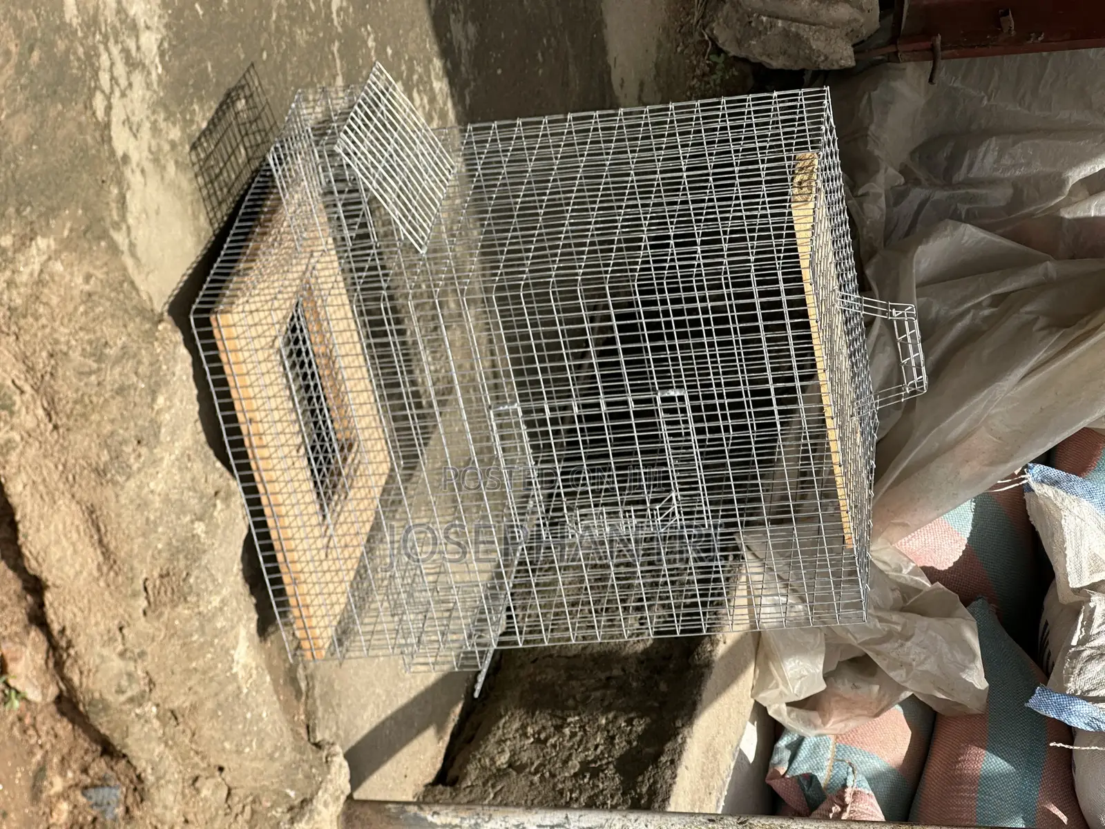 Birds Cages and Bush Traps