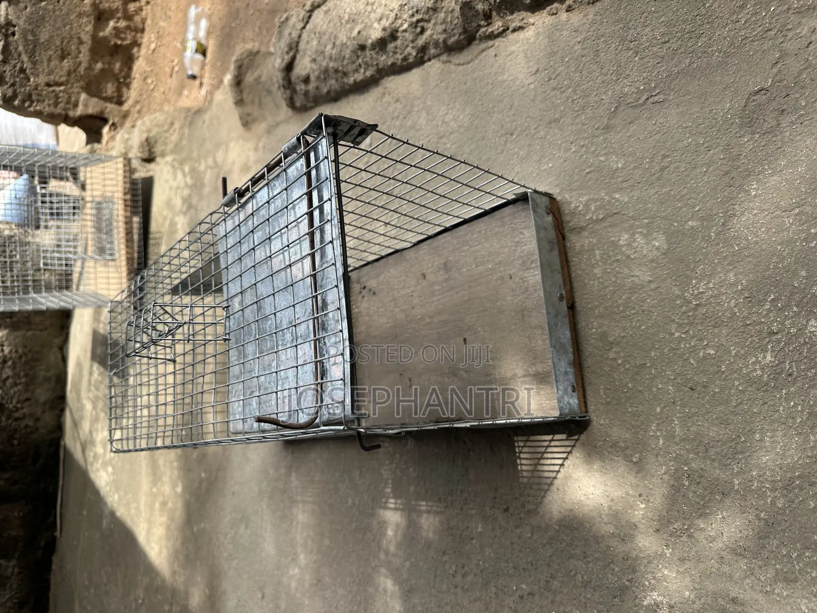 Birds Cages and Bush Traps