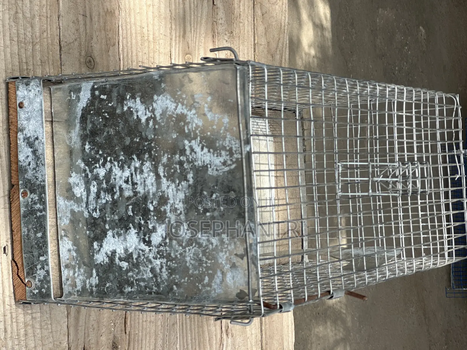 Birds Cages and Bush Traps