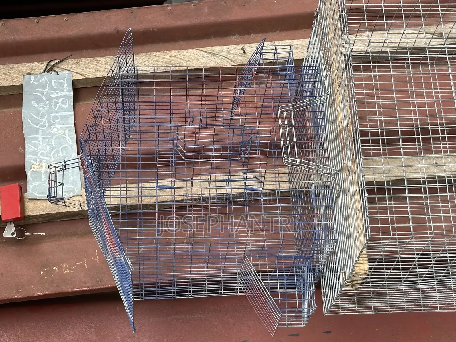 Birds Cages and Bush Traps