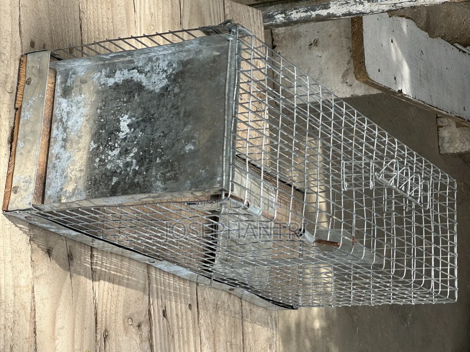 Birds Cages and Bush Traps