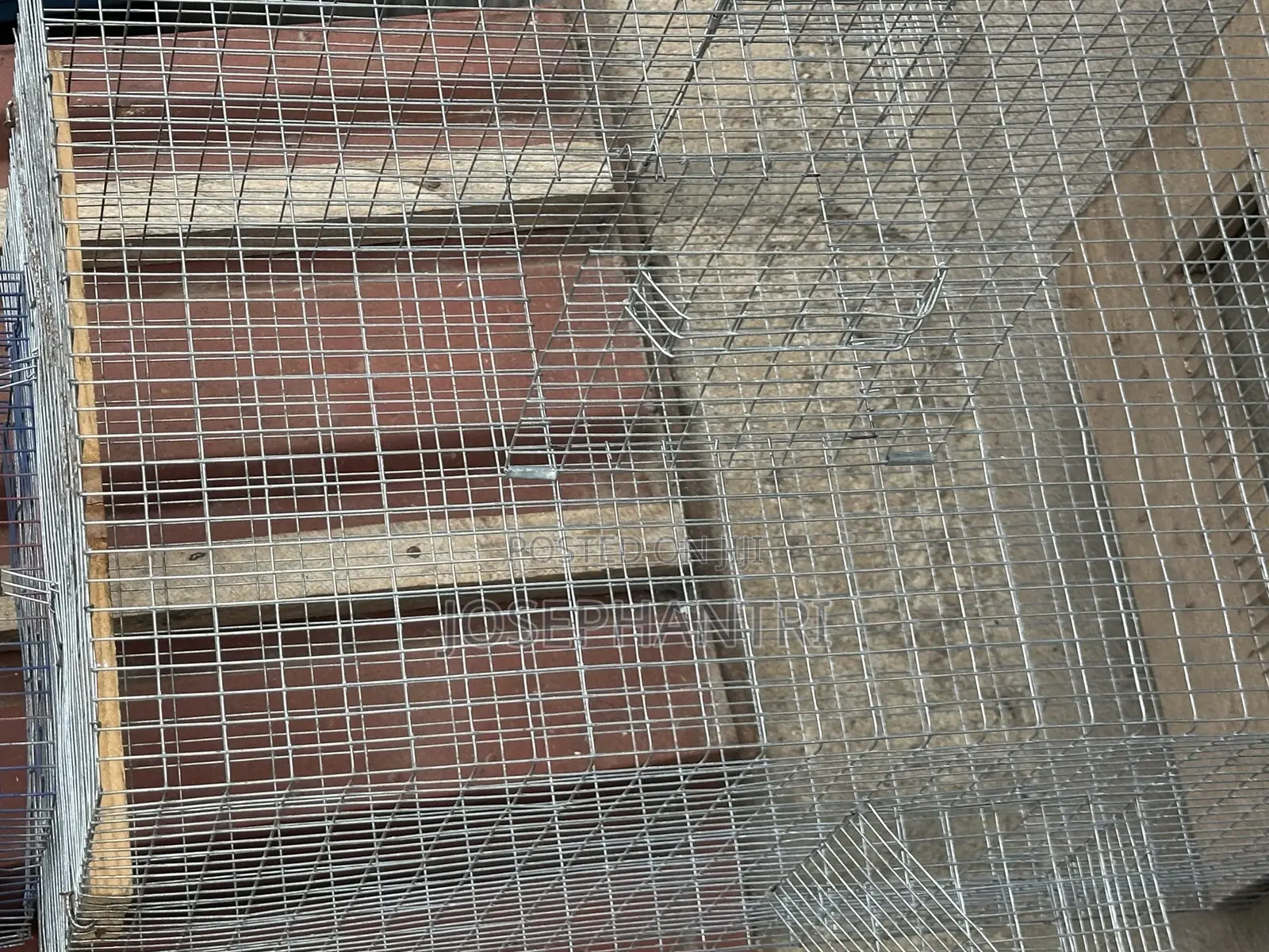 Birds Cages and Bush Traps