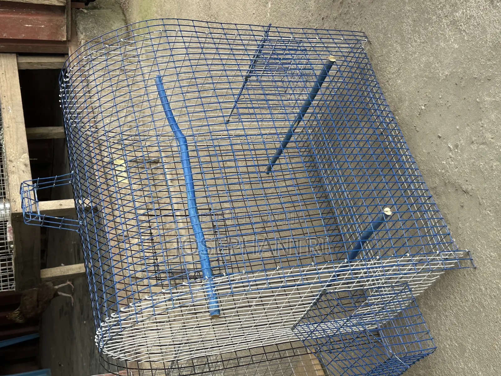 Birds Cages and Bush Traps