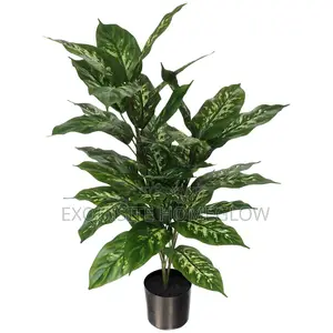 Artificial Dieffenbachia Plant Available In 80cm Tall