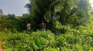 Farm Land for Sale