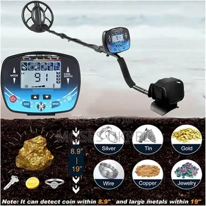 Gold Detector