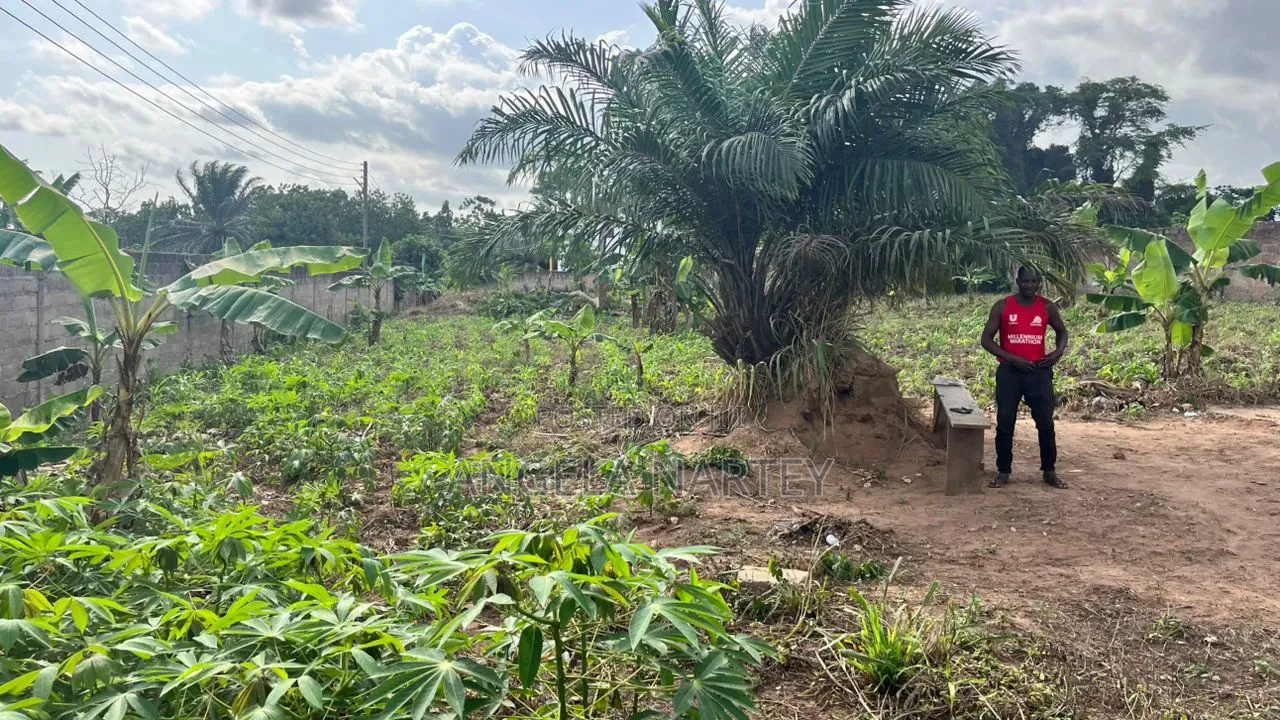 Titled One and Half Acre Roadside Land at East Legon