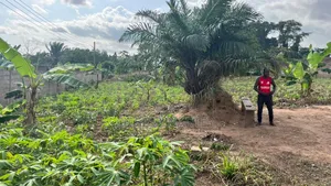 Titled One and Half Acre Roadside Land at East Legon