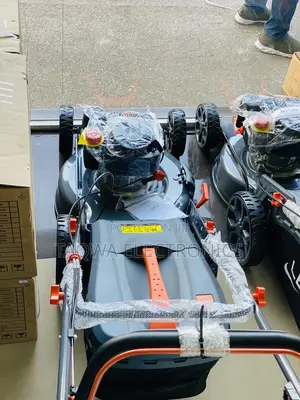 Superior)-Leo 5:5hp Lawnmower