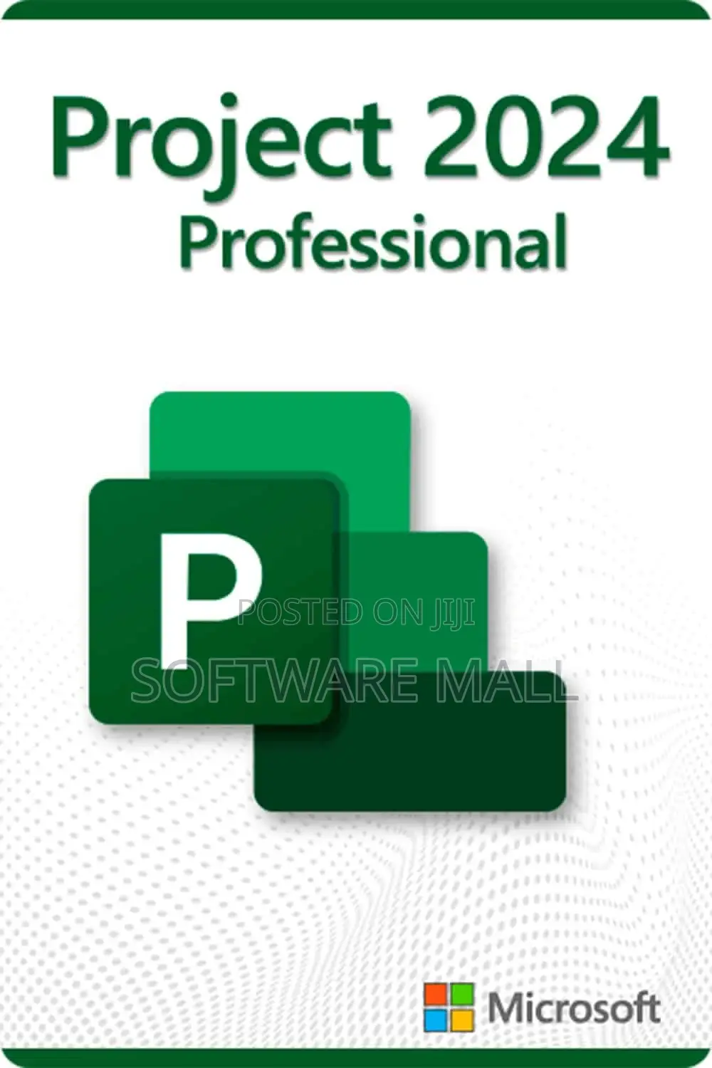 Project 2024 Professional 1 User (Bind)